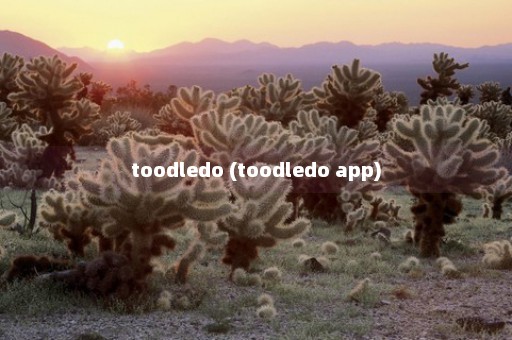 toodledo (toodledo app)