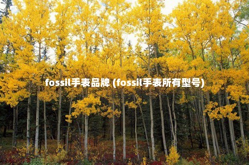 fossil手表品牌 (fossil手表所有型号)