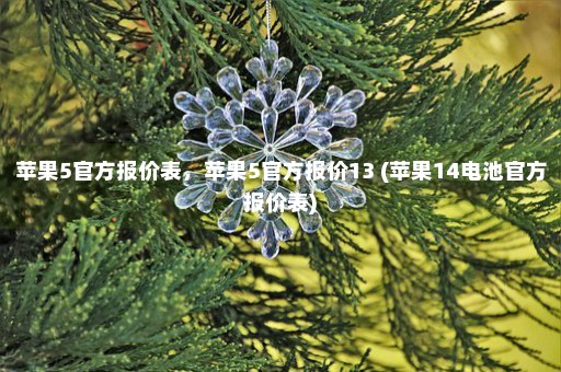 苹果5官方报价表，苹果5官方报价13 (苹果14电池官方报价表)