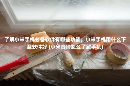 了解小米手机必备软件有哪些功能，小米手机用什么下载软件好 (小米音响怎么了解手机)