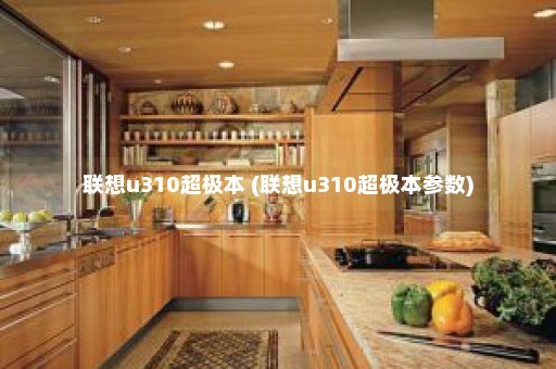 联想u310超极本 (联想u310超极本参数)