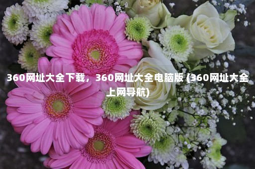 360网址大全下载，360网址大全电脑版 (360网址大全上网导航)