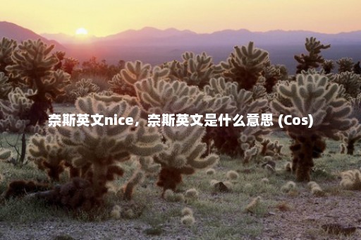 奈斯英文nice，奈斯英文是什么意思 (Cos)